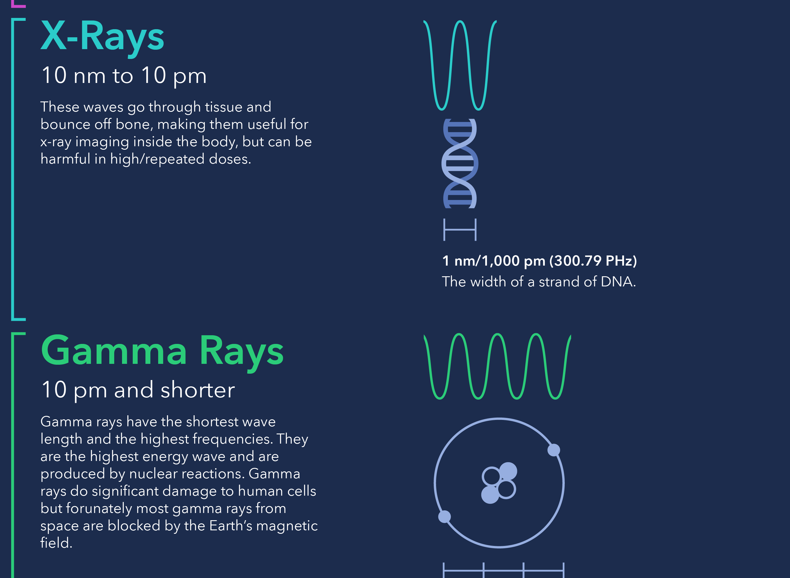 An infographic displaying many different ranges in the electromagnetic spectrum along with objects of similar scales. Part 11