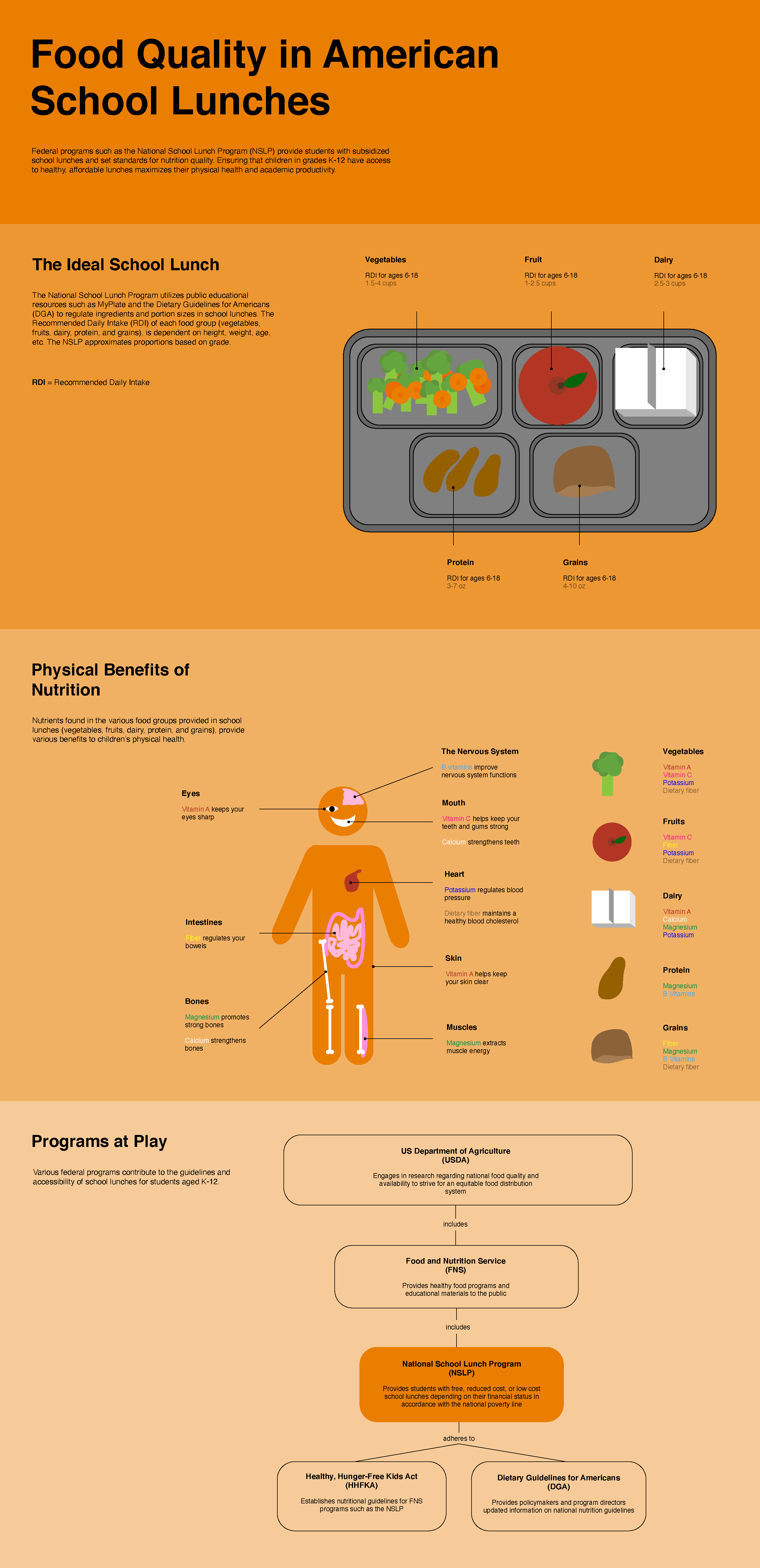 This infographic illustrates the ideal American school lunch based on legislative health standards